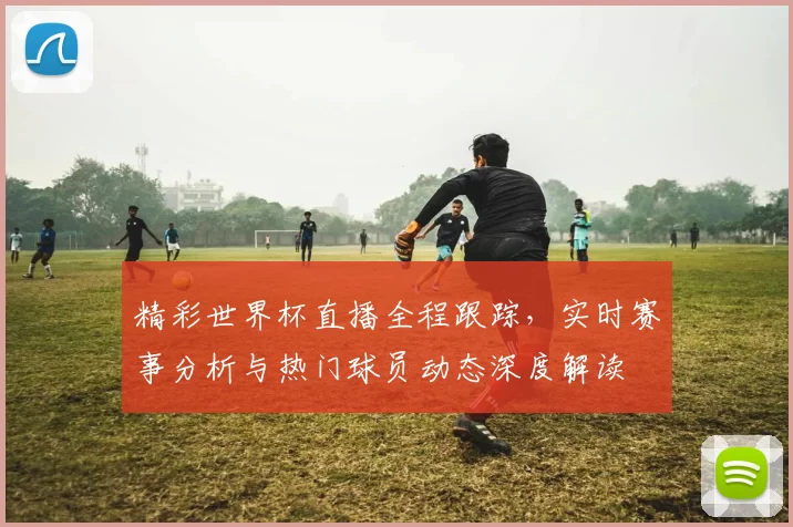 精彩世界杯直播全程跟踪，实时赛事分析与热门球员动态深度解读