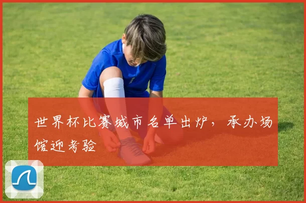 世界杯比赛城市名单出炉,承办场馆迎考验