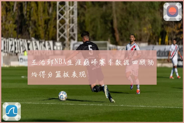 王治郅NBA生涯巅峰赛季数据回顾场均得分篮板表现