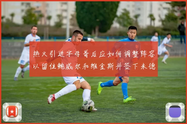 热火引进字母哥后应如何调整阵容以留住鲍威尔和维金斯并签下米德尔顿