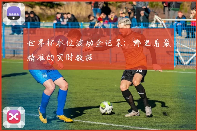 世界杯水位波动全记录:哪里看最精准的实时数据