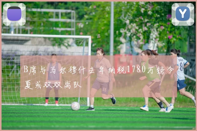 B席与马尔穆什去年纳税1780万镑今夏或双双离队