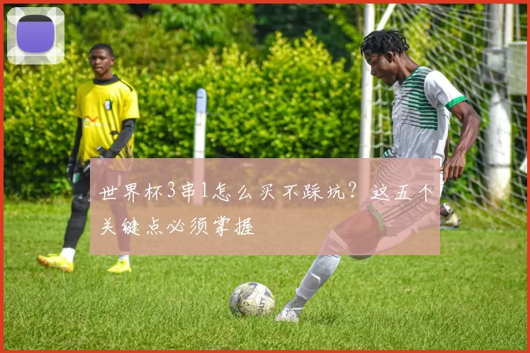 世界杯3串1怎么买不踩坑？这五个关键点必须掌握