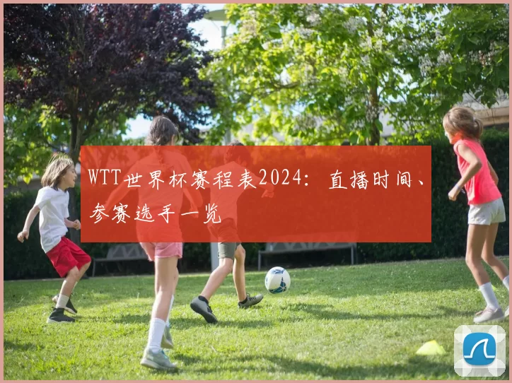 WTT世界杯赛程表2024：直播时间、参赛选手一览