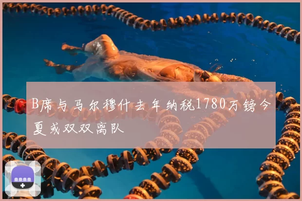 B席与马尔穆什去年纳税1780万镑今夏或双双离队