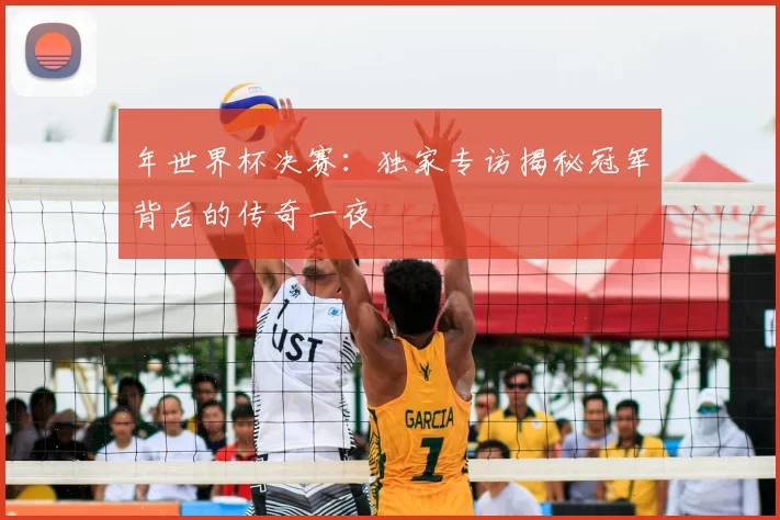 年世界杯决赛:独家专访揭秘冠军背后的传奇一夜