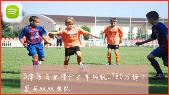 B席与马尔穆什去年纳税1780万镑今夏或双双离队