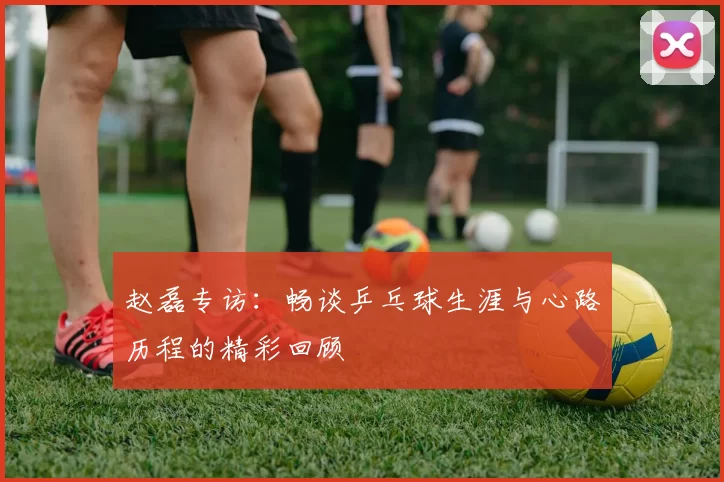 赵磊专访：畅谈乒乓球生涯与心路历程的精彩回顾