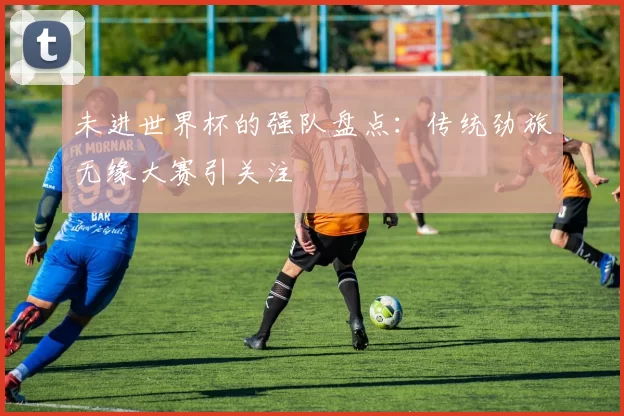 未进世界杯的强队盘点：传统劲旅无缘大赛引关注
