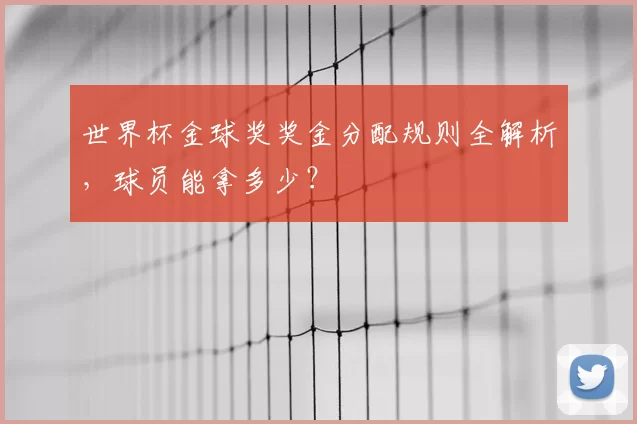 世界杯金球奖奖金分配规则全解析，球员能拿多少？